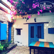 фото из отзыва ID 1441788