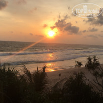 фото из отзыва ID 1441886