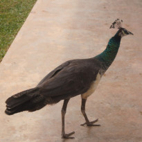 фото из отзыва ID 1441899