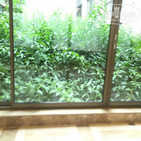 фото из отзыва ID 1441980