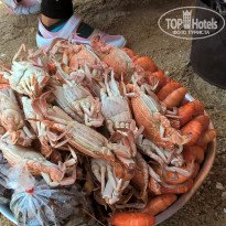 фото из отзыва ID 1441989