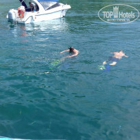 фото из отзыва ID 1442020