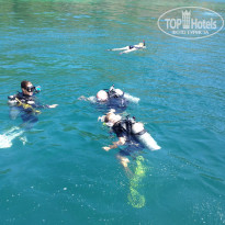 фото из отзыва ID 1442020