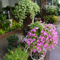 фото из отзыва ID 1442063