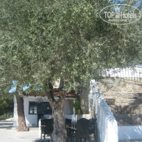 фото из отзыва ID 1442150