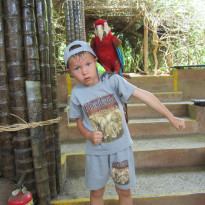 фото из отзыва ID 1442216