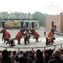 фото из отзыва ID 1442232