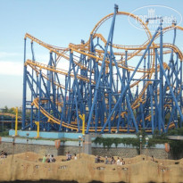 фото из отзыва ID 1442232