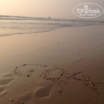 фото из отзыва ID 1442333