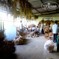 фото из отзыва ID 1442418