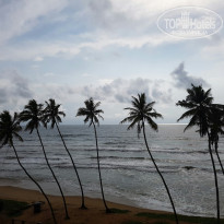 фото из отзыва ID 1442439