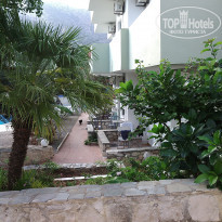 фото из отзыва ID 1442444