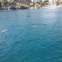 фото из отзыва ID 1442444