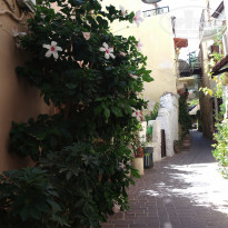 фото из отзыва ID 1442444