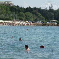 фото из отзыва ID 1442297