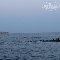 фото из отзыва ID 1442297