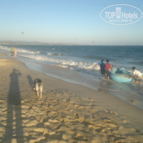 фото из отзыва ID 1442469