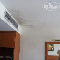 фото из отзыва ID 1442533