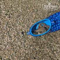 фото из отзыва ID 1442601