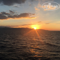 фото из отзыва ID 1442601