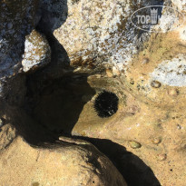 фото из отзыва ID 1442601