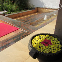 фото из отзыва ID 1442663