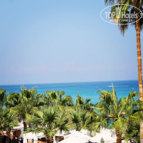 фото из отзыва ID 1442761