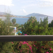 фото из отзыва ID 1442762