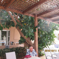 фото из отзыва ID 1442789