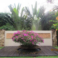 фото из отзыва ID 1442831