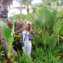 фото из отзыва ID 1442831