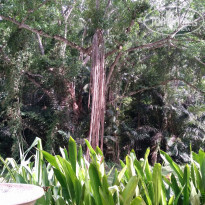 фото из отзыва ID 1442831