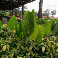 фото из отзыва ID 1442831