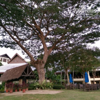 фото из отзыва ID 1442831