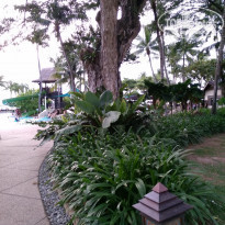 фото из отзыва ID 1442831