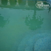 фото из отзыва ID 1442857