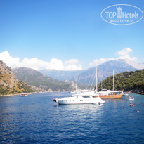 фото из отзыва ID 1442889