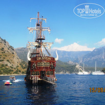 фото из отзыва ID 1442889