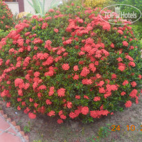 фото из отзыва ID 1442913