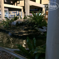 фото из отзыва ID 1442914