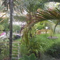 фото из отзыва ID 1442935