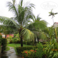 фото из отзыва ID 1442935