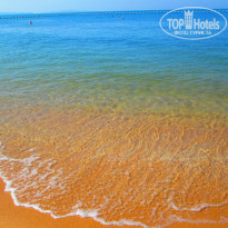 фото из отзыва ID 1443027