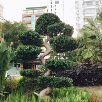 фото из отзыва ID 1443083