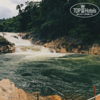 фото из отзыва ID 1443083