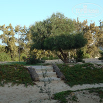 фото из отзыва ID 1443102