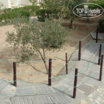 фото из отзыва ID 1443102