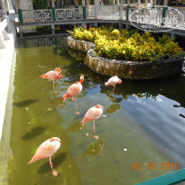 фото из отзыва ID 1443115