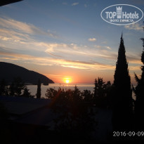 фото из отзыва ID 1443248