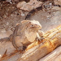 фото из отзыва ID 1443481